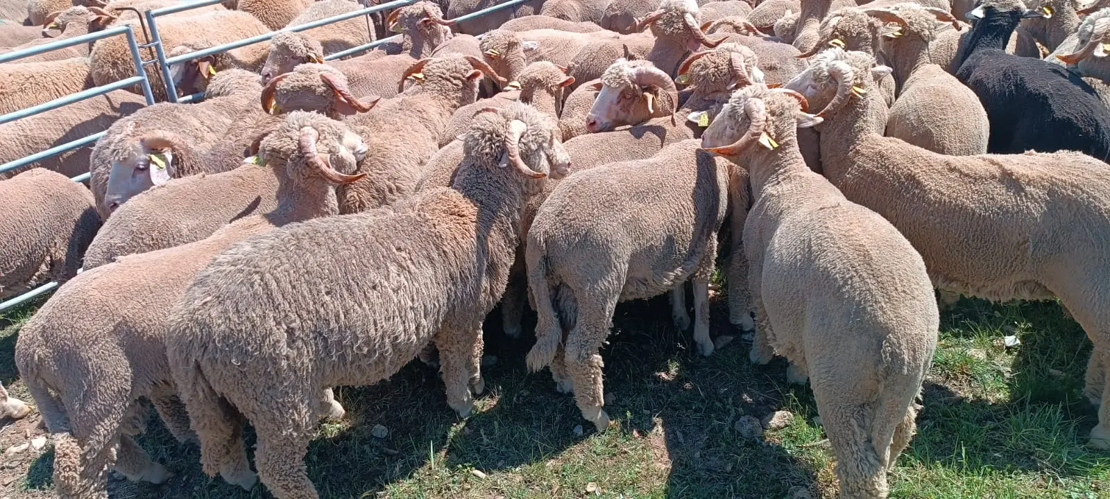 La Bergerie de Trets