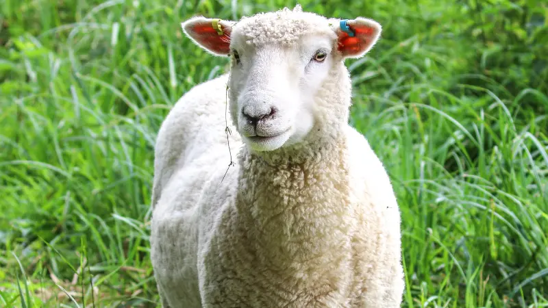 La Bergerie de Trets